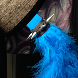 Punk in Blue feathers
